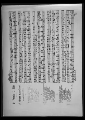 'A chiava masculina!...