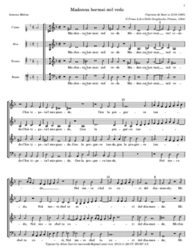 Madonna hormai mil vedo