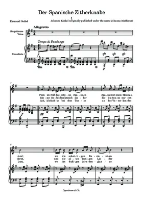 Der spanische Zitherknabe