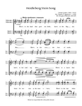 Heidelberg Stein Song