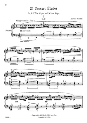 24 Concert Études