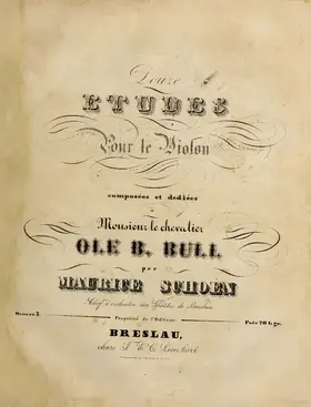 12 Violin Etudes