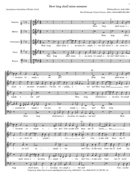 How long shall mine enemies