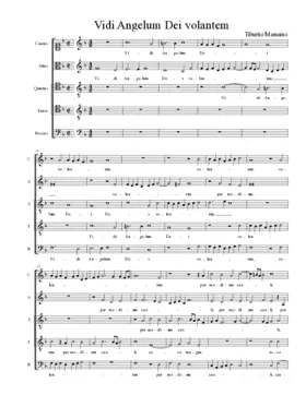 Vidi Angelum Dei volantem