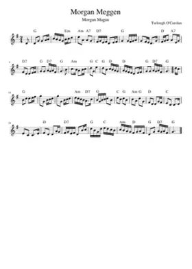 Morgan Meggen