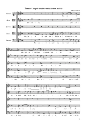 Peccavi super numerum arenae maris