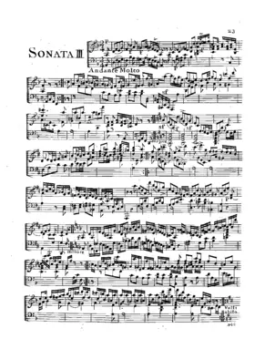 Piano Trio in D minor