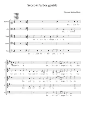 Secco è l'arbor gentile