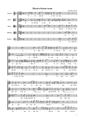 Illustra faciem tuam