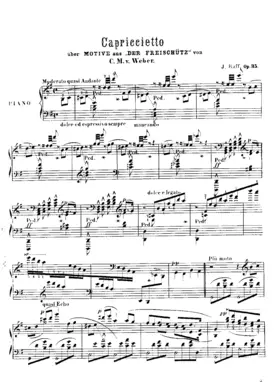 Capriccietto über Motive aus dem Freischütz von C.M. von Weber, Op.35