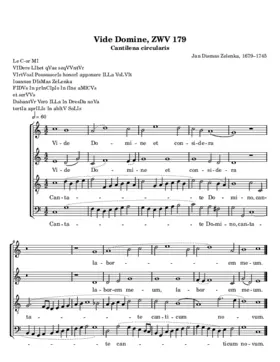 Vide Domine, ZWV 179