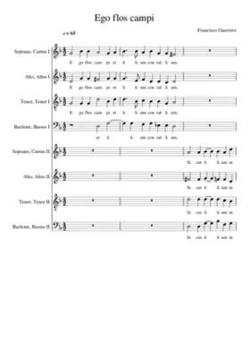 Ego Flos Campi