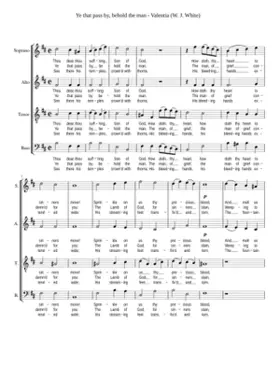 Ye that pass by behold the man