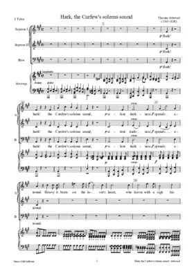 Hark! the Curfew's solemn sound