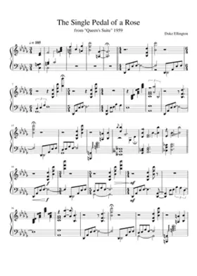 The Single Petal Of A Rose