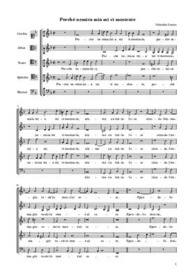 Perché nemica mia mi vi mostrate