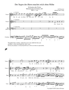 Der Segen des Herrn machet reich ohne Mühe, TWV 1:316