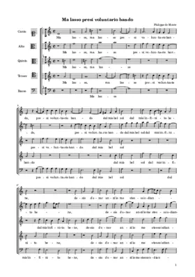 Ma lasso presi voluntario bando