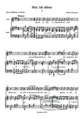 Sitz’ ich allein