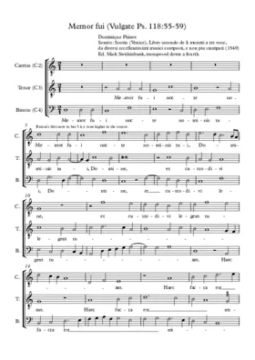 Memor fui nocte nominis tui