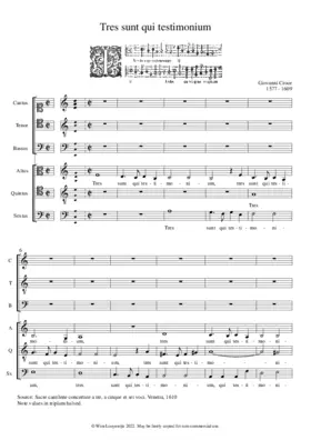 Tres sunt qui testimonium