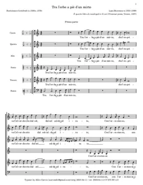 Tra l'erbe a piè d'un mirto