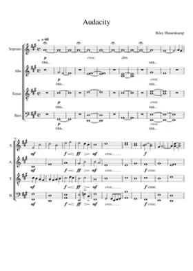 Audacity - Riley Hinnenkamp