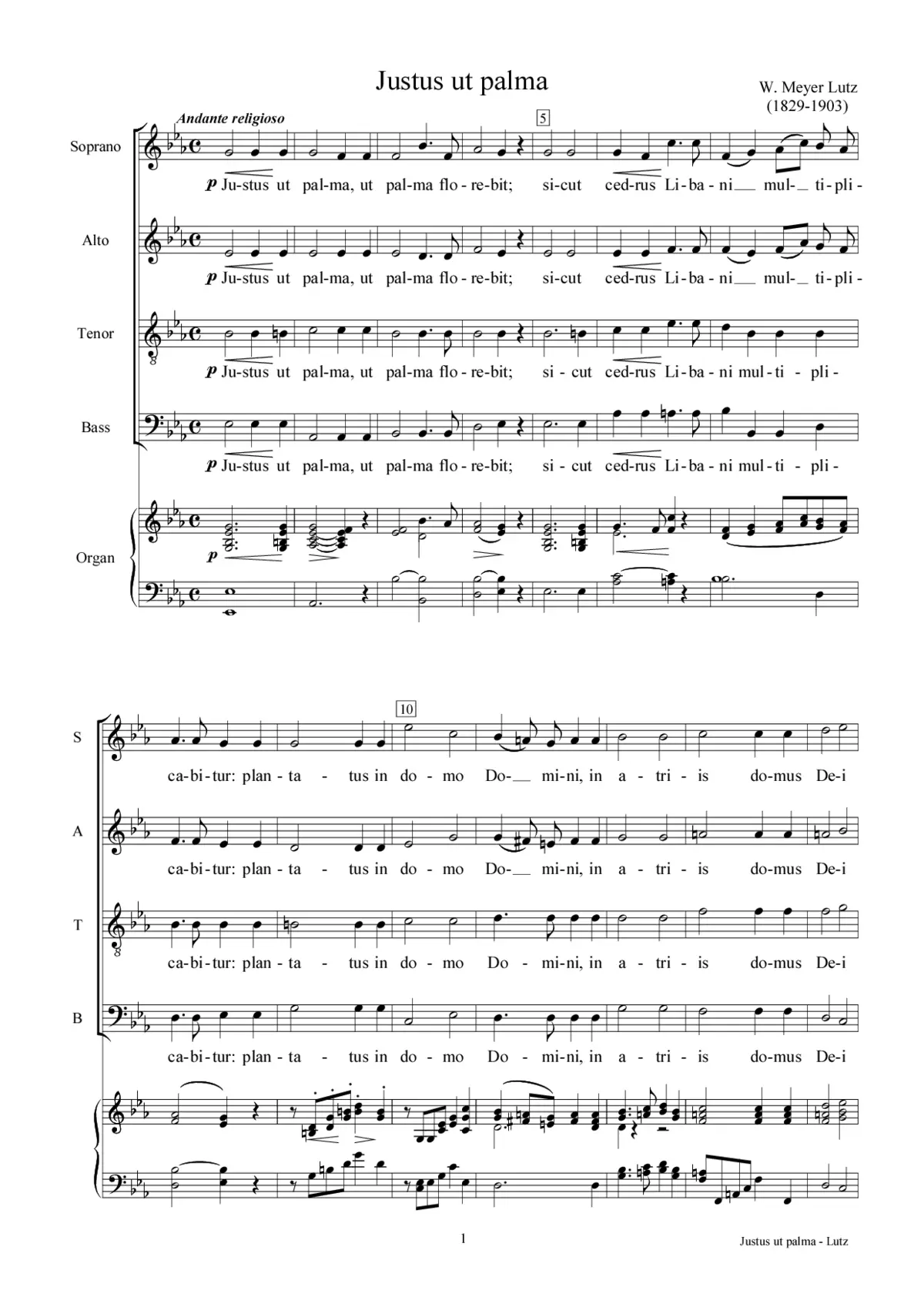 Justus ut palma - Page 1
