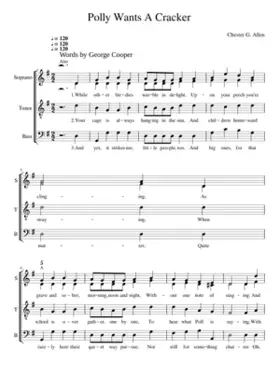 Polly Wants a Cracker