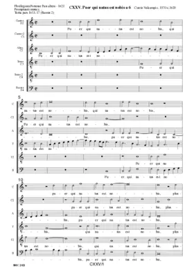 Puer qui natus est nobis