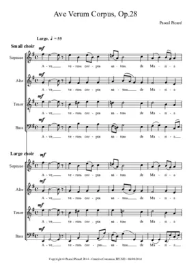 Ave verum corpus, Op. 28