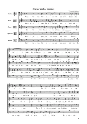 Multarum hic resonat