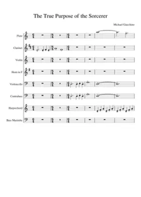 The True Purpose of the Sorcerer