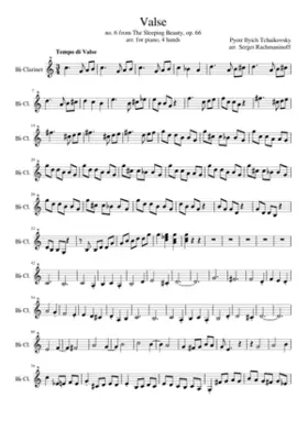 The Sleeping Beauty (ballet) Op.66