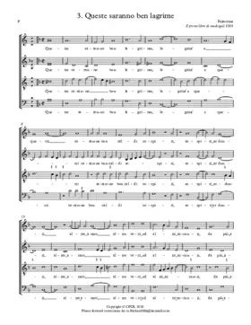 Queste saranno ben lagrime