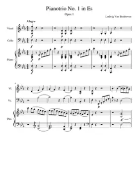 Piano Trio in E-flat major Op.1 No.1