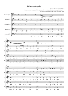 Tribus miraculis