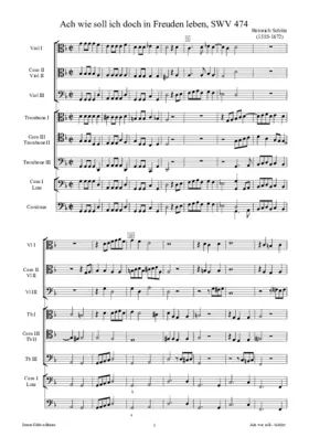 Ach wie soll ich doch in Freuden leben, SWV 474