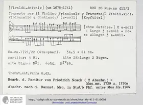 Flute Concerto in E minor