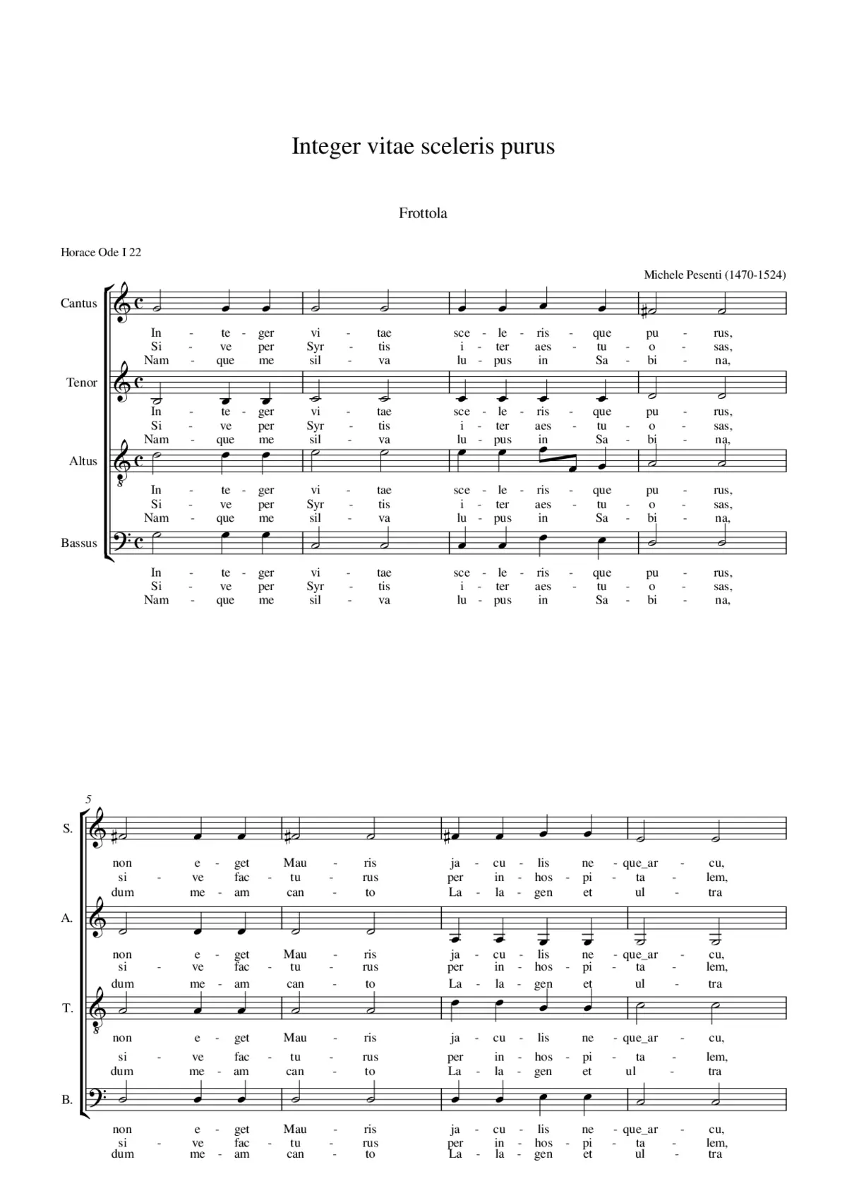 Integer vitae scelerisque purus - Page 1