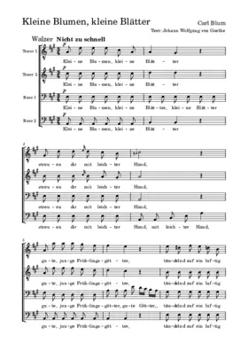 Kleine Blumen, kleine Blätter