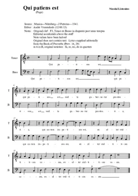 Qui patiens est