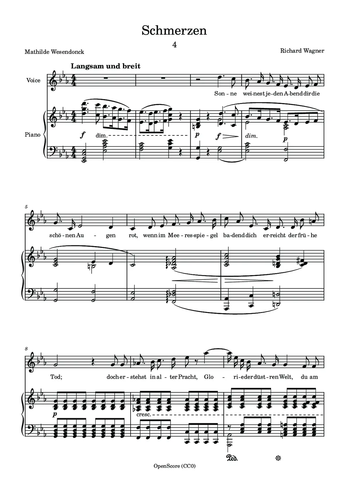 Schmerzen - Page 1