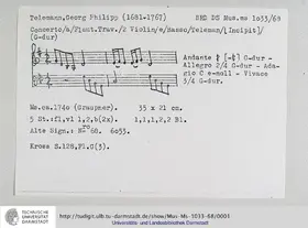 Flute Concerto in G major