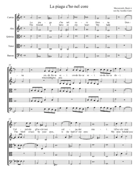 La piaga c’ho nel core donna onde lieta sei