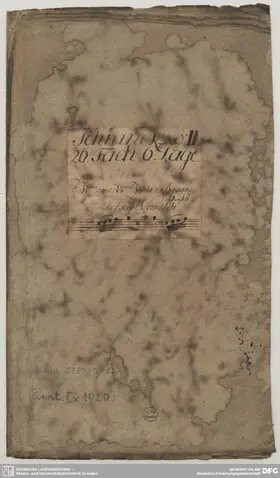 Concerto for 2 Violins in C major