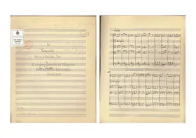 Violin Concerto in C major