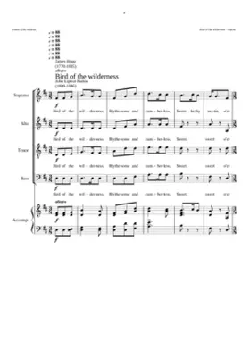 Bird of the wilderness