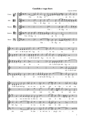 Candido e vago fiore