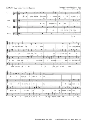 Ego sum pastor bonus